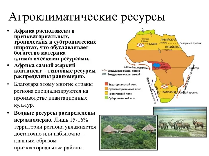 Агроклиматические ресурсы Африка расположена в приэкваториальных, тропических и субтропических широтах, что обуславливает богатство