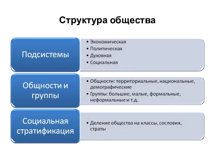 Структура общества