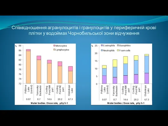 Співвідношення агранулоцитів і гранулоцитів у периферичній крові плітки у водоймах Чорнобильської зони відчуження
