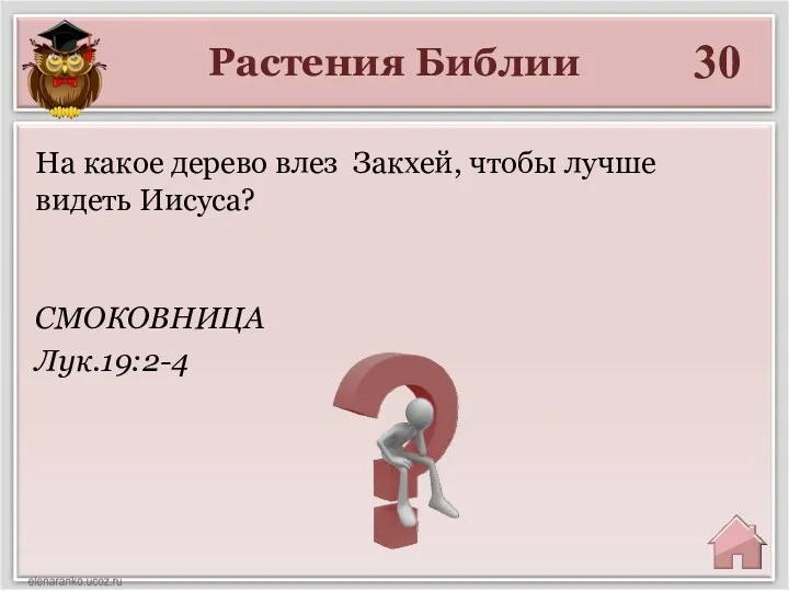 Растения Библии 30 СМОКОВНИЦА Лук.19:2-4 На какое дерево влез Закхей, чтобы лучше видеть Иисуса?