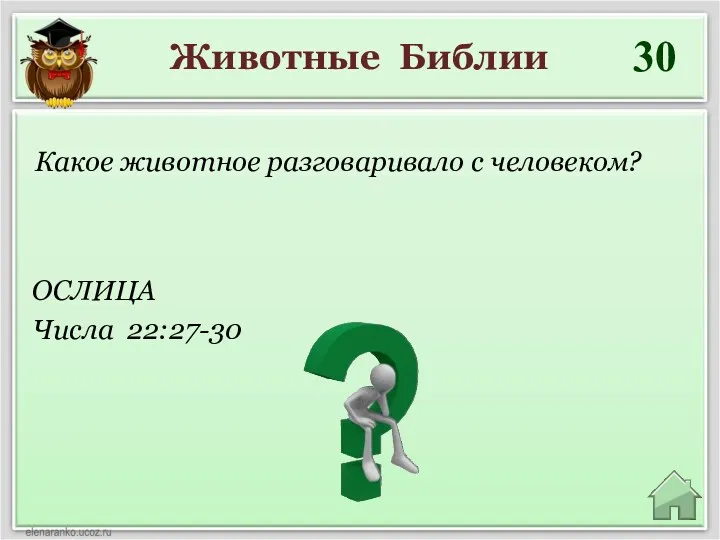 Животные Библии 30 ОСЛИЦА Числа 22:27-30 Какое животное разговаривало с человеком?