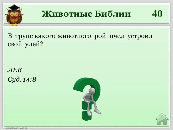 Животные Библии 40 ЛЕВ Суд. 14:8 В трупе какого животного рой пчел устроил свой улей?