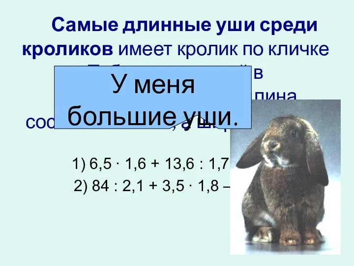 Самые длинные уши среди кроликов имеет кролик по кличке Тоби
