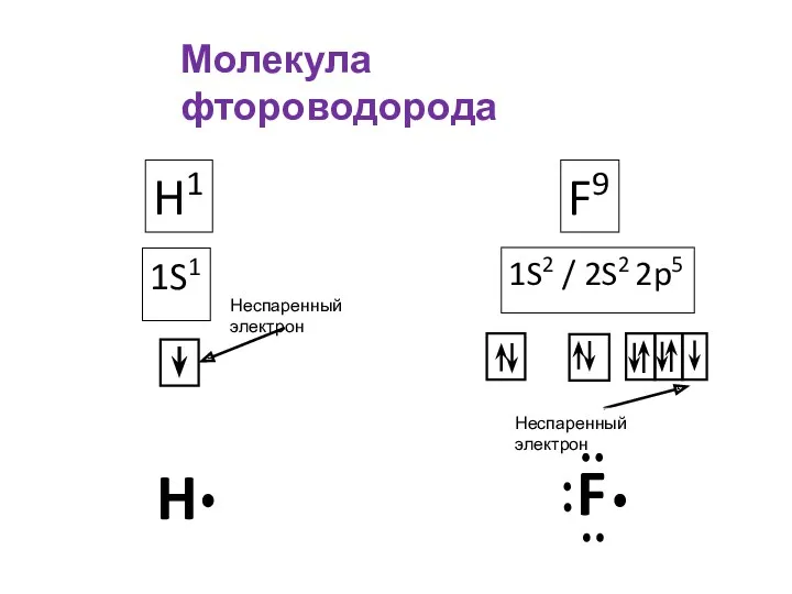 Молекула фтороводорода H1 1S1 F9 1S2 / 2S2 2p5 H F Неспаренный электрон Неспаренный электрон