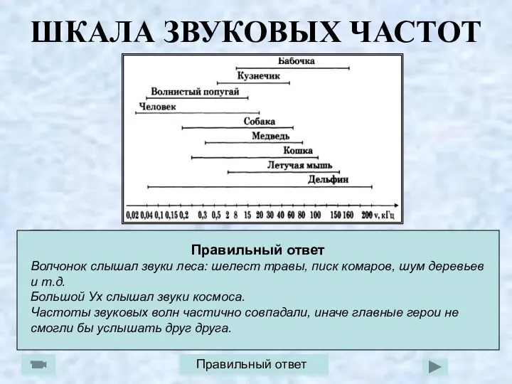 ? ШКАЛА ЗВУКОВЫХ ЧАСТОТ Посмотрите отрывок из мультфильма «Большой Ух».