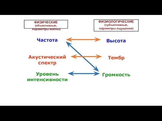 Частота Акустический спектр Уровень интенсивности Высота Тембр Громкость ФИЗИЧЕСКИЕ (объективные, параметры волны) ФИЗИОЛОГИЧЕСКИЕ (субъективные, параметры ощущения)