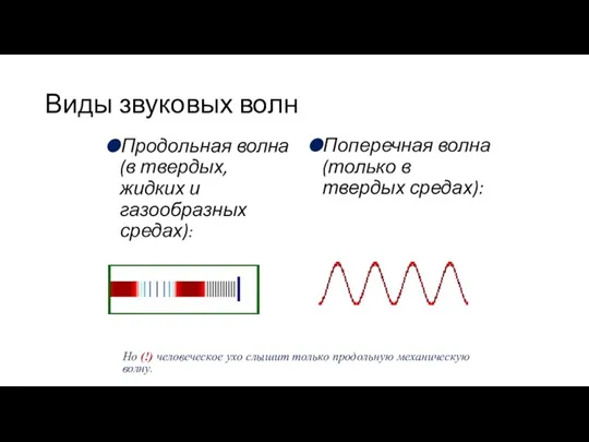 Виды звуковых волн Продольная волна (в твердых, жидких и газообразных