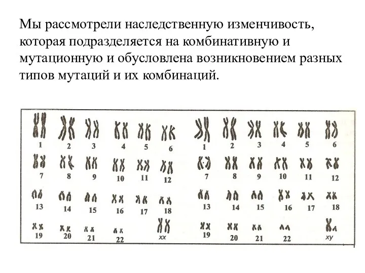 Мы рассмотрели наследственную изменчивость, которая подразделяется на комбинативную и мутационную и обусловлена возникновением