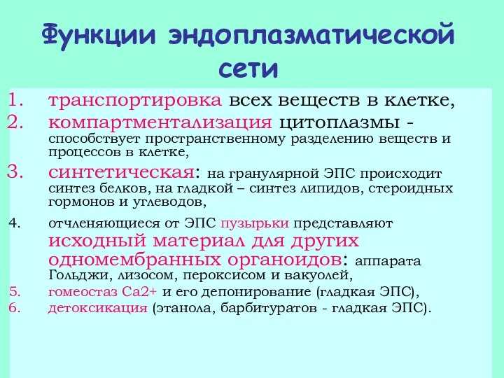 Функции эндоплазматической сети транспортировка всех веществ в клетке, компартментализация цитоплазмы