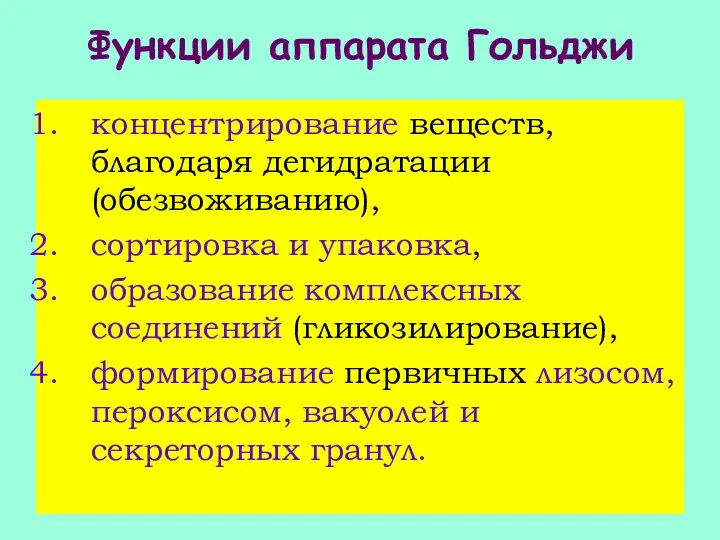 Функции аппарата Гольджи концентрирование веществ, благодаря дегидратации (обезвоживанию), сортировка и