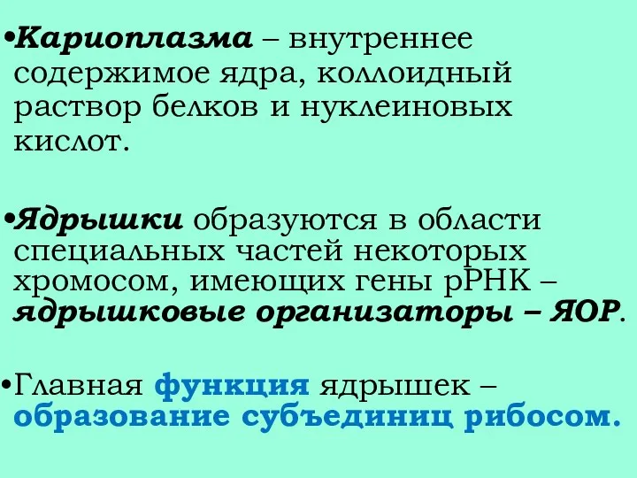 Кариоплазма – внутреннее содержимое ядра, коллоидный раствор белков и нуклеиновых