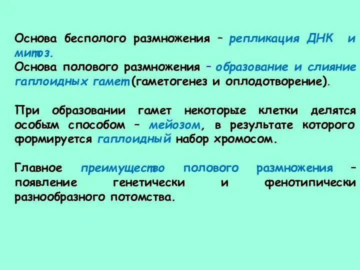 Основа бесполого размножения – репликация ДНК и митоз. Основа полового