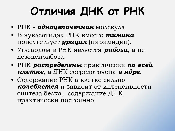 Отличия ДНК от РНК РНК - одноцепочечная молекула. В нуклеотидах