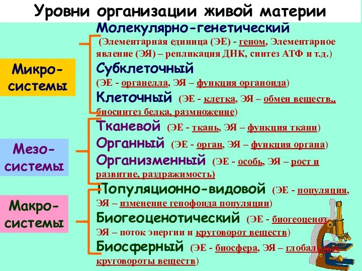 Молекулярно-генетический (Элементарная единица (ЭЕ) - геном, Элементарное явление (ЭЯ) –