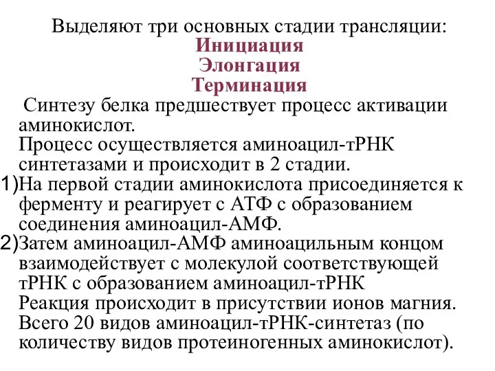 Выделяют три основных стадии трансляции: Инициация Элонгация Терминация Синтезу белка