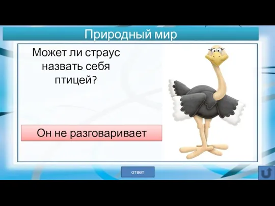 Он не разговаривает ответ Природный мир Может ли страус назвать себя птицей?