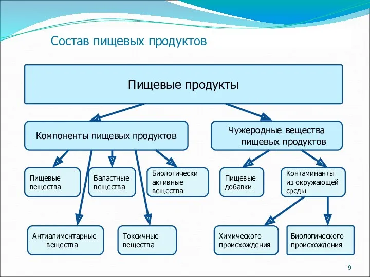 Состав пищевых продуктов Пищевые продукты