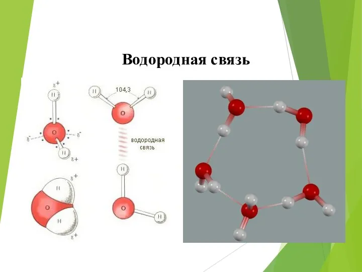 Водородная связь