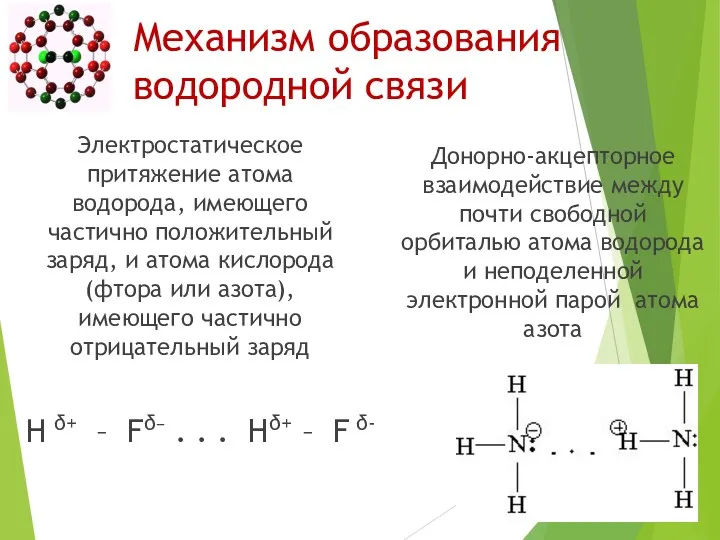 Механизм образования водородной связи Электростатическое притяжение атома водорода, имеющего частично