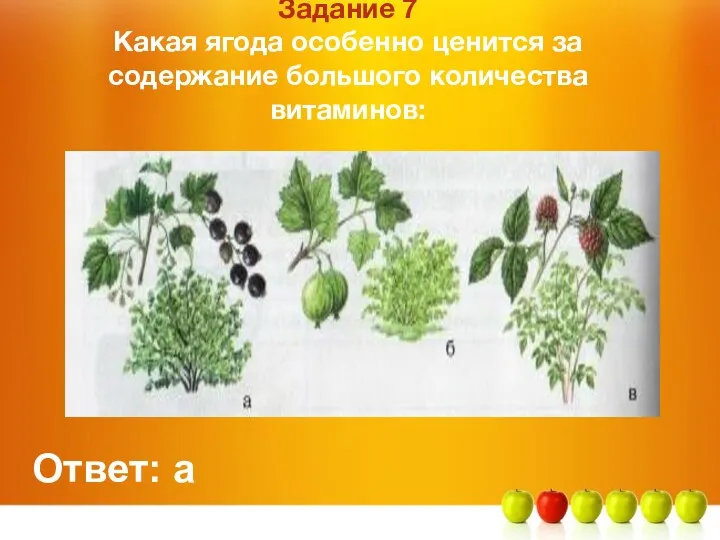 Задание 7 Какая ягода особенно ценится за содержание большого количества витаминов: Ответ: а