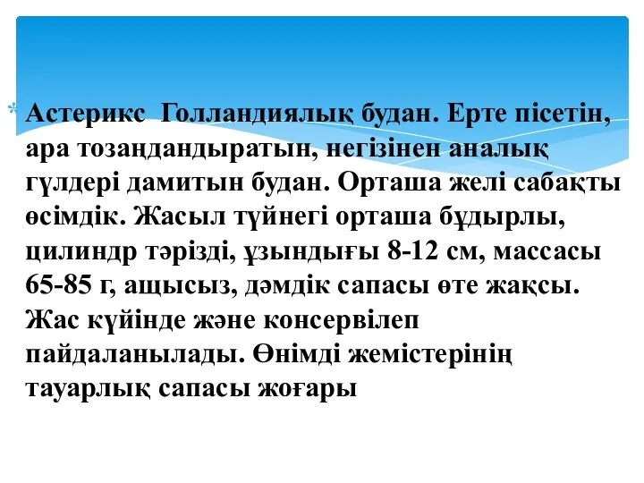 Астерикс Голландиялық будан. Ерте пісетін, ара тозаңдандыратын, негізінен аналық гүлдері дамитын будан. Орташа