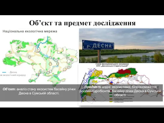 Об’єкт та предмет дослідження Предмет: водні екосистеми, біорізноманіття рослин-гідробіонтів басейну