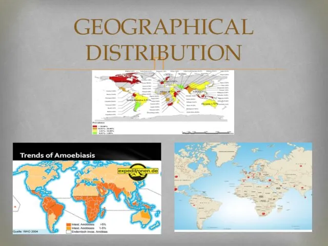 GEOGRAPHICAL DISTRIBUTION