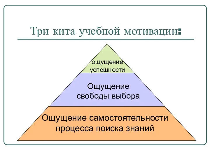 Три кита учебной мотивации: Ощущение самостоятельности процесса поиска знаний Ощущение свободы выбора ощущение успешности