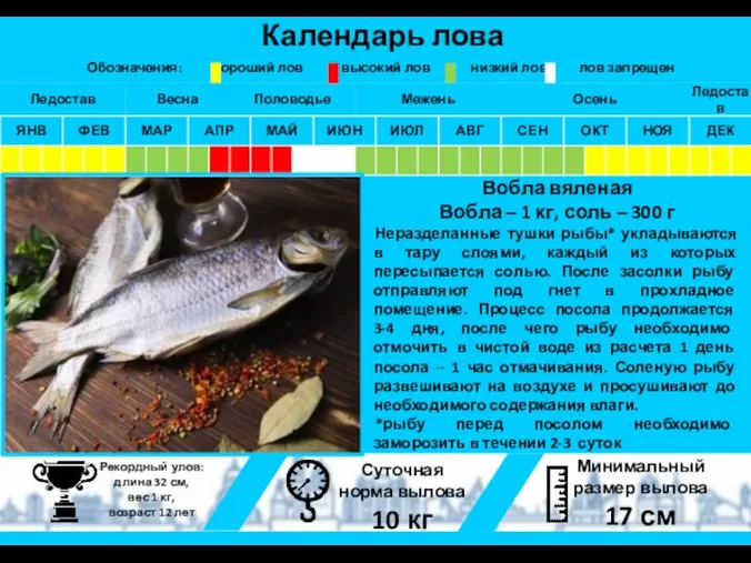 Вобла вяленая Вобла – 1 кг, соль – 300 г Неразделанные тушки рыбы*