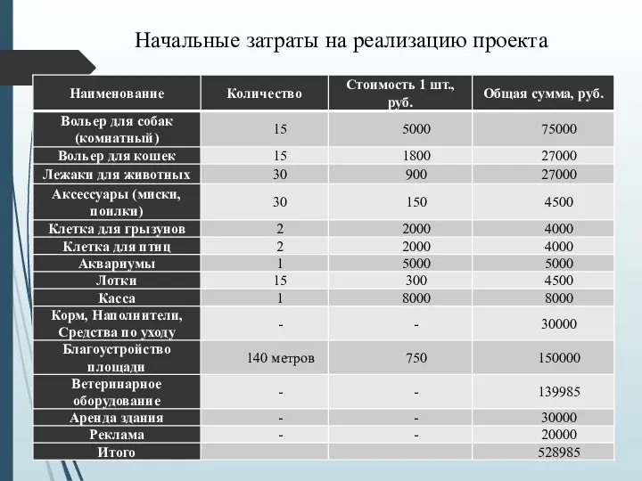 Начальные затраты на реализацию проекта