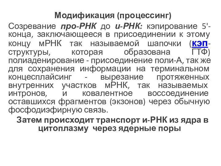 Модификация (процессинг) Созревание про-РНК до и-РНК: кэпирование 5'-конца, заключающееся в