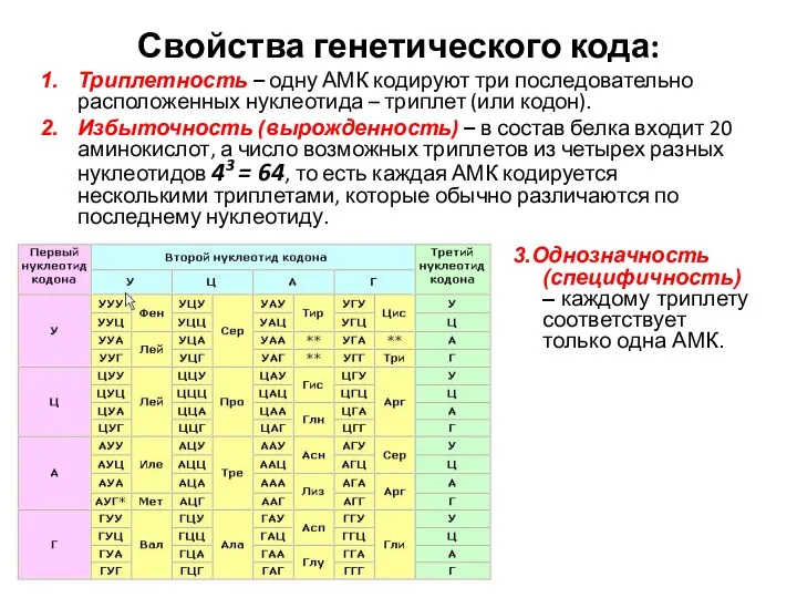 Свойства генетического кода: Триплетность – одну АМК кодируют три последовательно