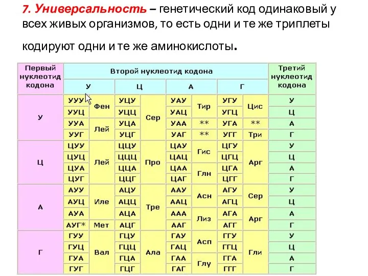 7. Универсальность – генетический код одинаковый у всех живых организмов,