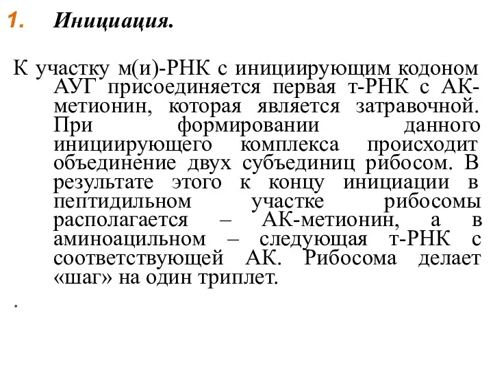 Инициация. К участку м(и)-РНК с инициирующим кодоном АУГ присоединяется первая