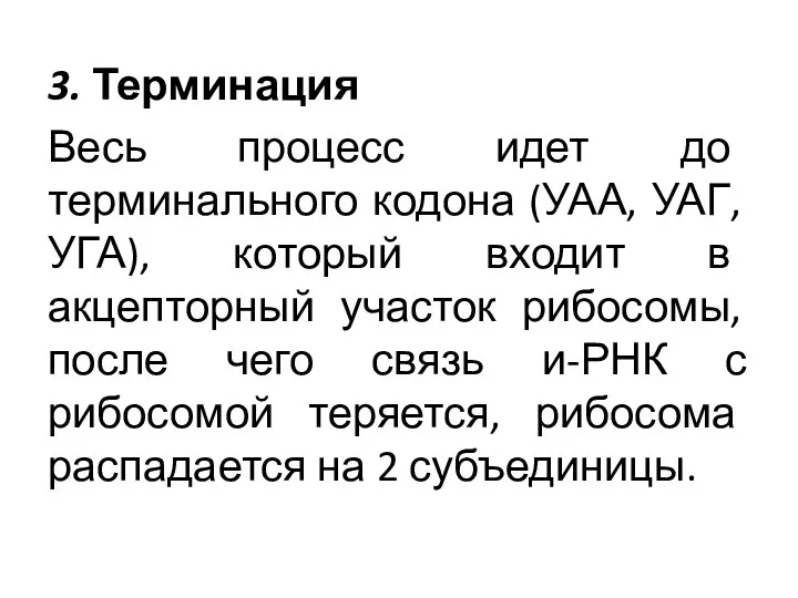 3. Терминация Весь процесс идет до терминального кодона (УАА, УАГ,