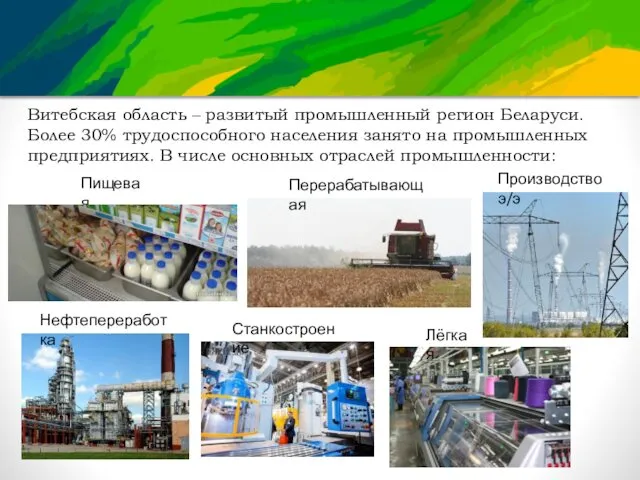 Витебская область – развитый промышленный регион Беларуси. Более 30% трудоспособного