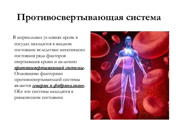 Противосвертывающая система В нормальных условиях кровь в сосудах находится в