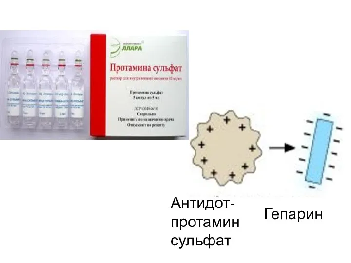 Антидот- протамин сульфат Гепарин