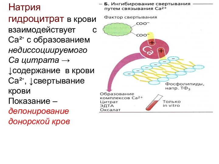 Натрия гидроцитрат в крови взаимодействует с Са²⁺ с образованием недиссоциируемого