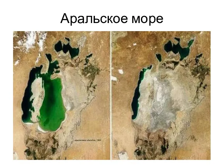 Аральское море