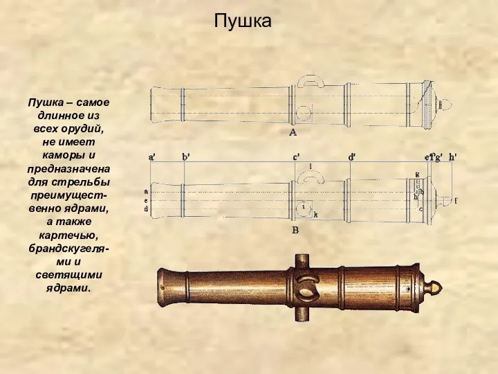 Пушка – самое длинное из всех орудий, не имеет каморы