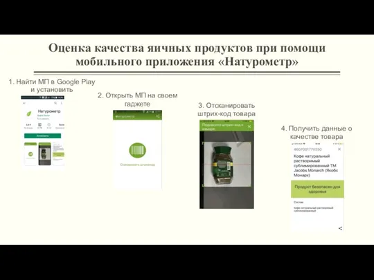 Оценка качества яичных продуктов при помощи мобильного приложения «Натурометр» 1.