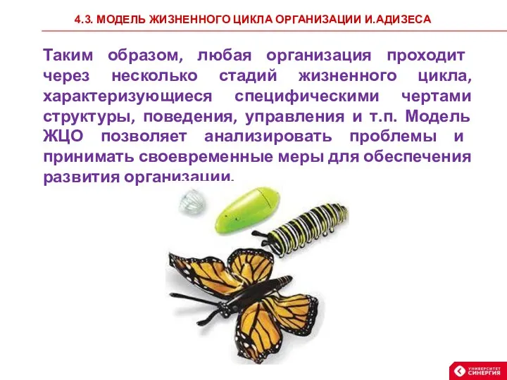 4.3. МОДЕЛЬ ЖИЗНЕННОГО ЦИКЛА ОРГАНИЗАЦИИ И.АДИЗЕСА Таким образом, любая организация