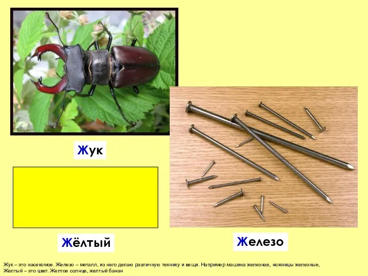 Жук – это насекомое. Железо – металл, из него делаю различную технику и