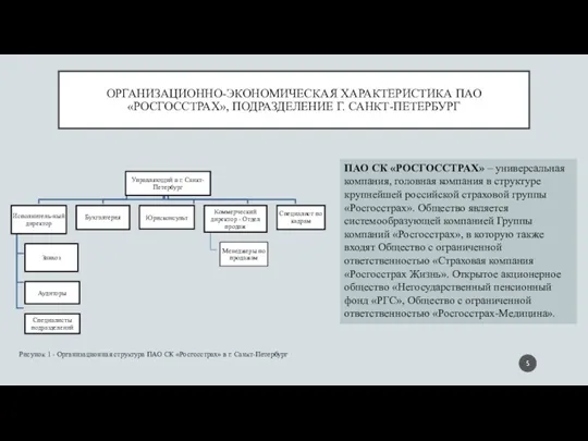 ОРГАНИЗАЦИОННО-ЭКОНОМИЧЕСКАЯ ХАРАКТЕРИСТИКА ПАО «РОСГОССТРАХ», ПОДРАЗДЕЛЕНИЕ Г. САНКТ-ПЕТЕРБУРГ Рисунок 1 -