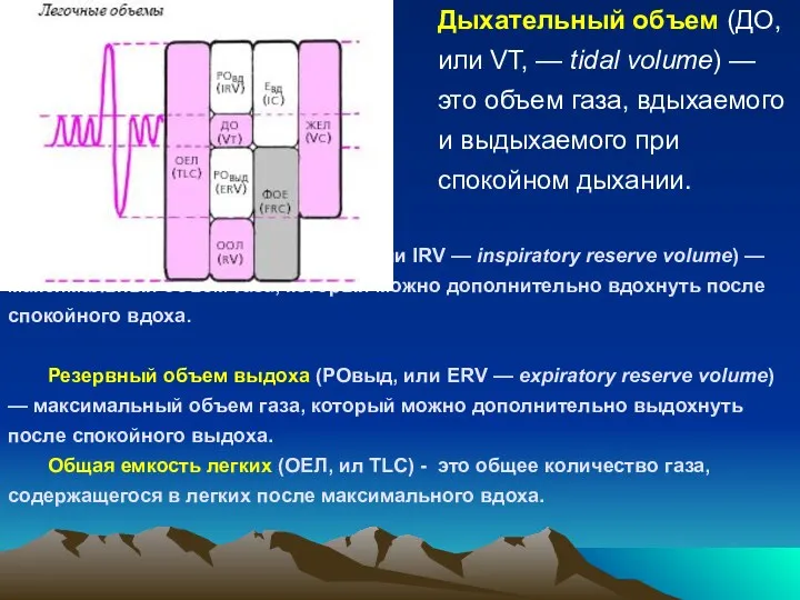 Резервный объем вдоха (РОвд, или IRV — inspiratory reserve volume)