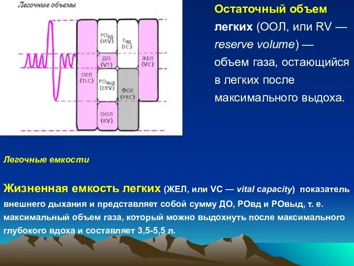 Легочные емкости Жизненная емкость легких (ЖЕЛ, или VC — vital