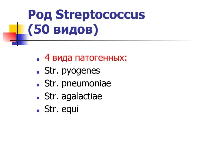 Род Streptococcus (50 видов) 4 вида патогенных: Str. pyogenes Str. pneumoniaе Str. agalactiae Str. equi