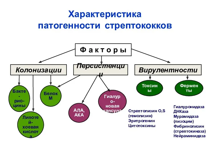 Характеристика патогенности стрептококков Ф а к т о р ы Колонизации Персистенции Вирулентности