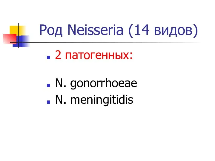 Род Neisseria (14 видов) 2 патогенных: N. gonorrhoeae N. meningitidis